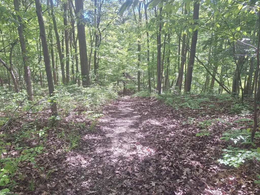 8211 Black River Road Worth Township MI 48422