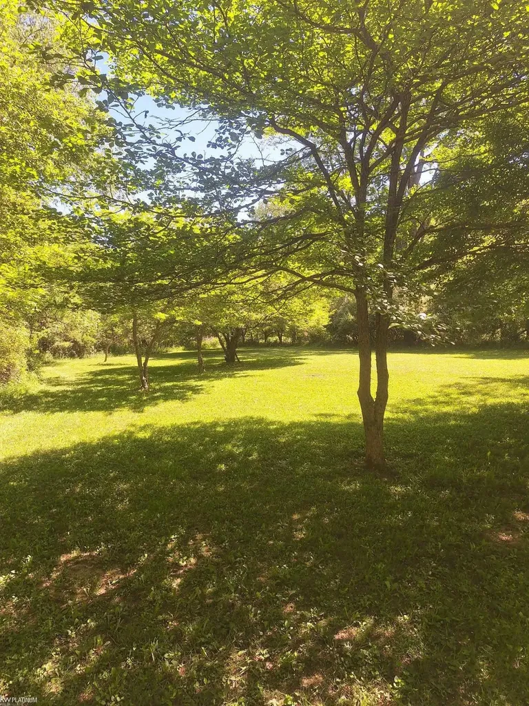 8211 Black River Road Worth Township MI 48422