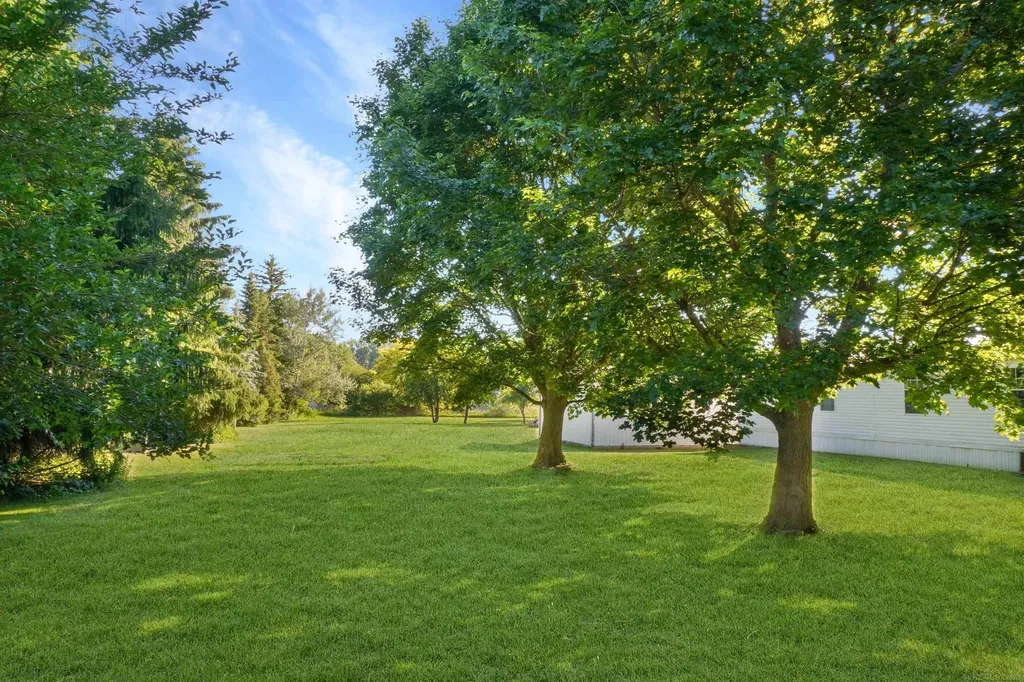 1832 Manchester Drive Elba Township MI 48446