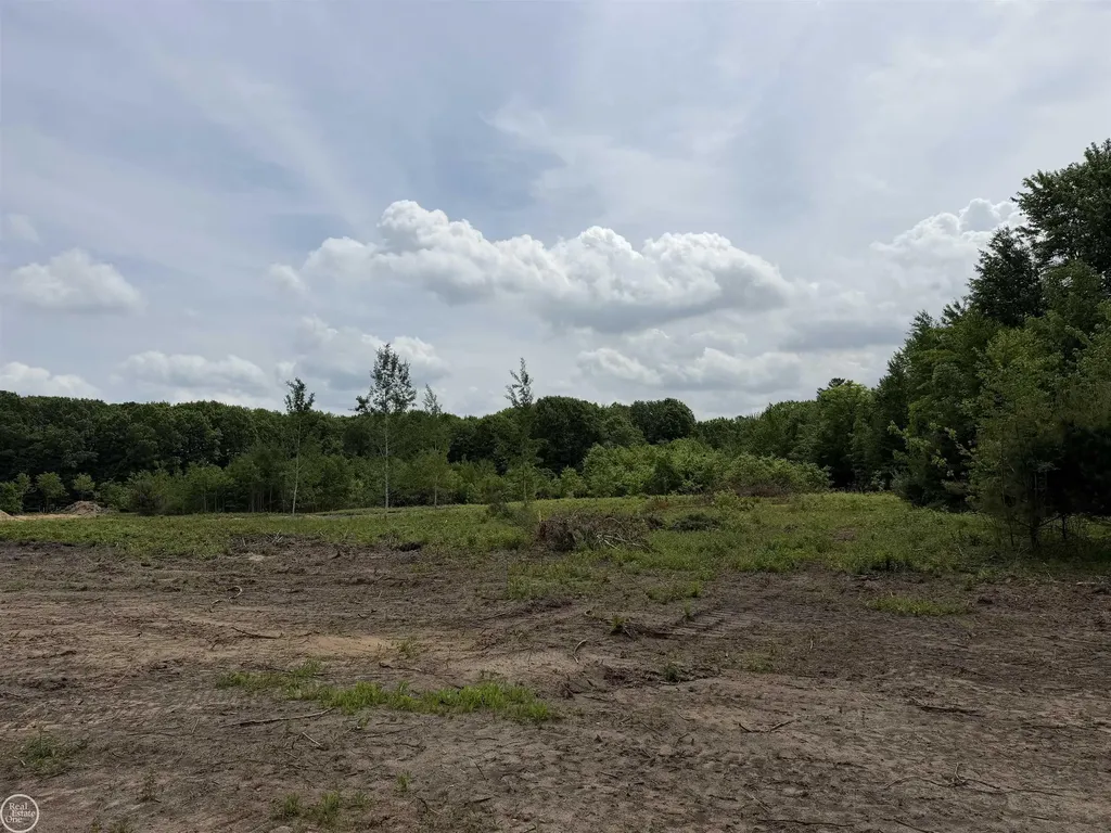 00 Parker Road Fort Gratiot Charter Township MI 48059
