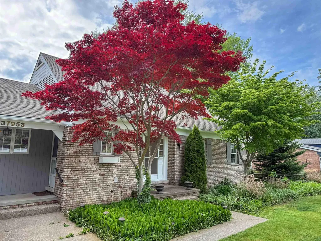 37953 Elmite Street Harrison Charter Township MI 48045