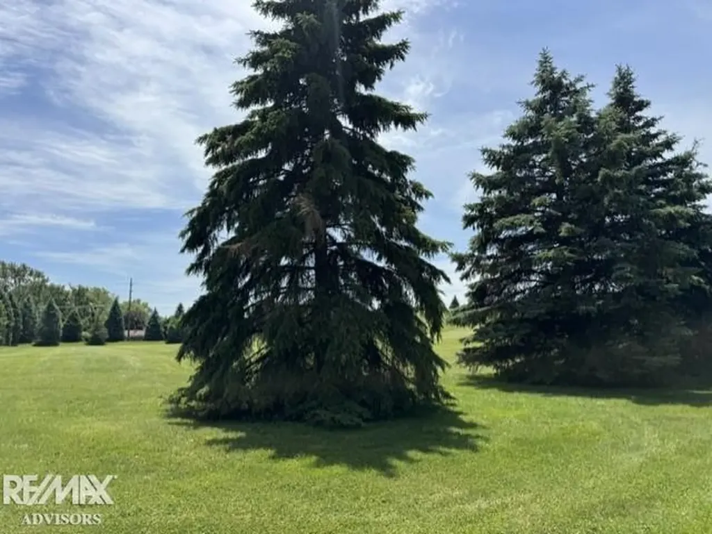 19314 Cooper Street Clinton Charter Township MI 48038