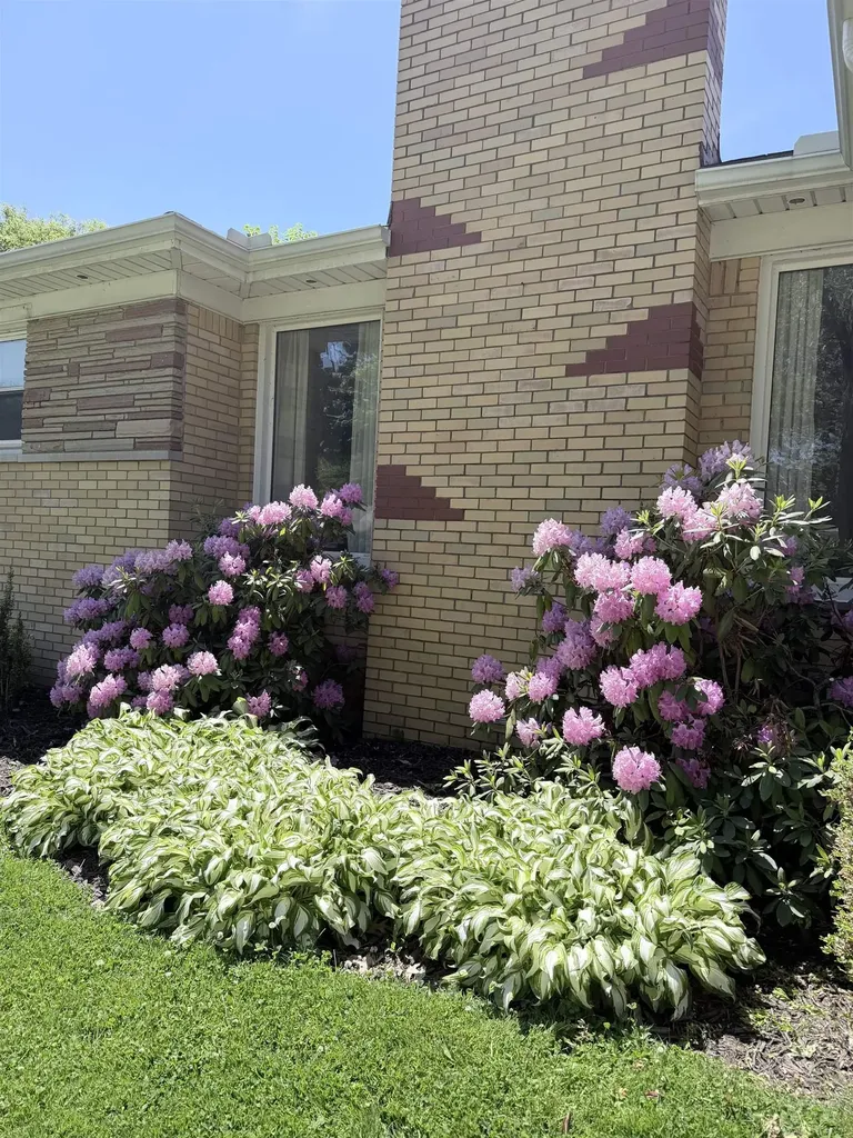 21640 Mauer Street St. Clair Shores City MI 48080