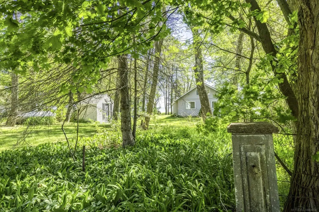 4300 N Grandview Drive Forester Township MI 48427