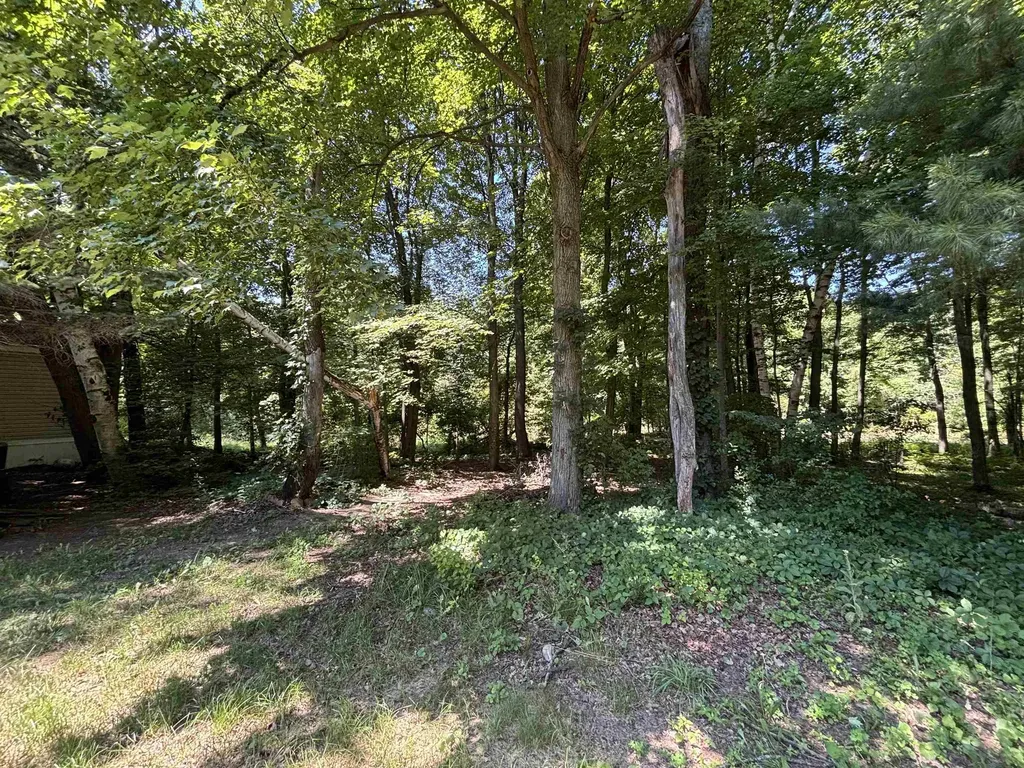 2237 Ranae Street Croswell City MI 48422