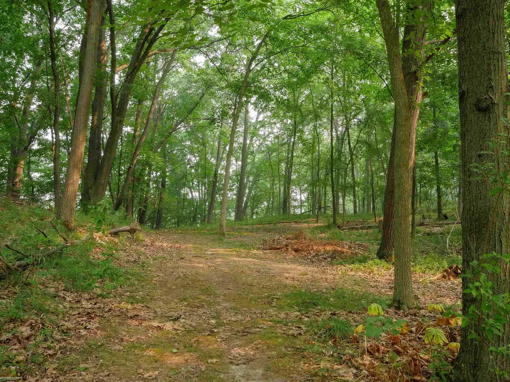 1268 Hidden View Drive Lapeer Township MI 48446