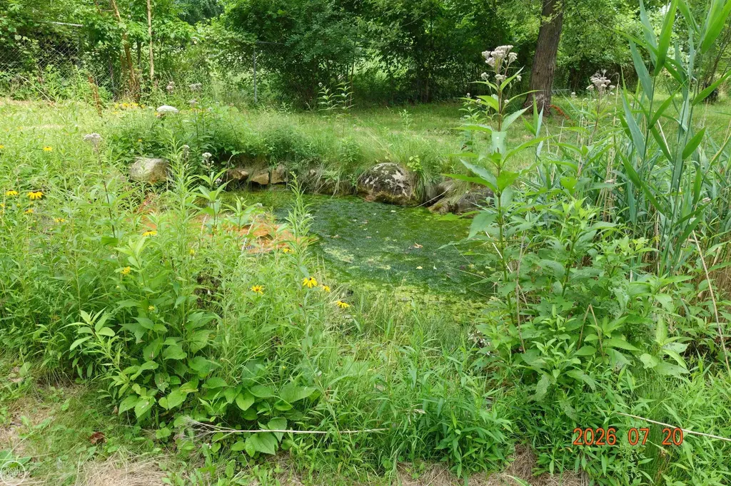 150 Francis Lane Ortonville Village MI 48462