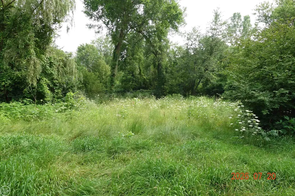 150 Francis Lane Ortonville Village MI 48462