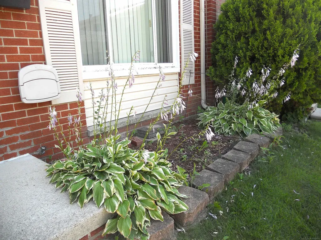 8192 Farnum Avenue Warren City MI 48093