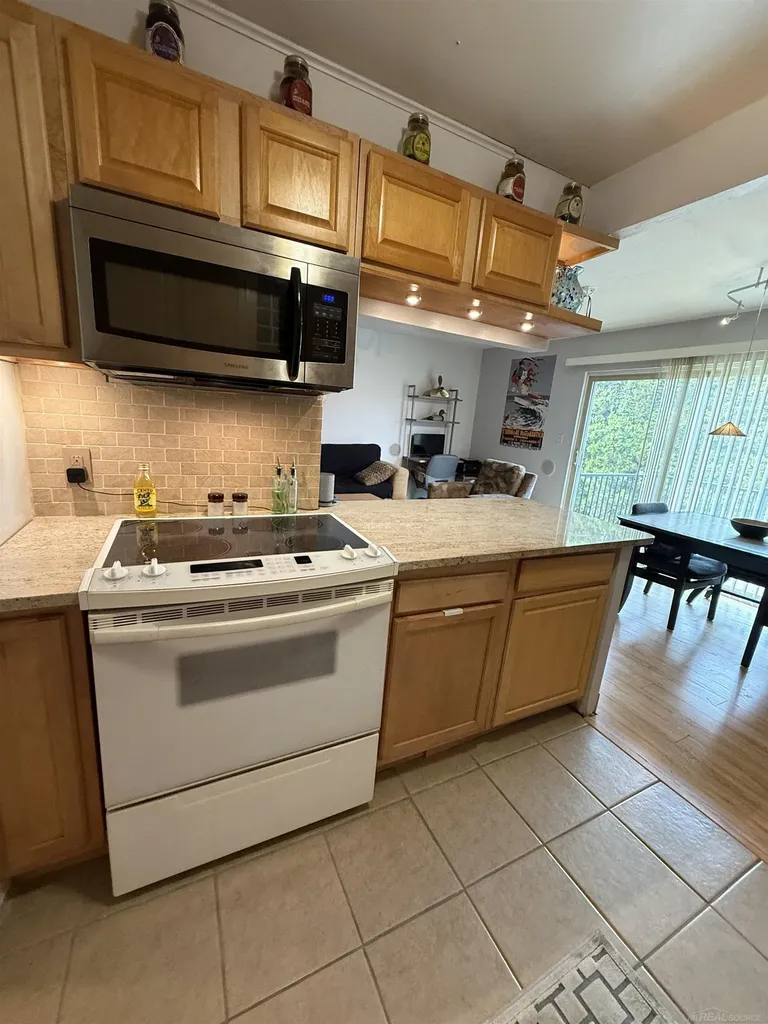 27 Dickinson Unit E Street Mt. Clemens City MI 48043
