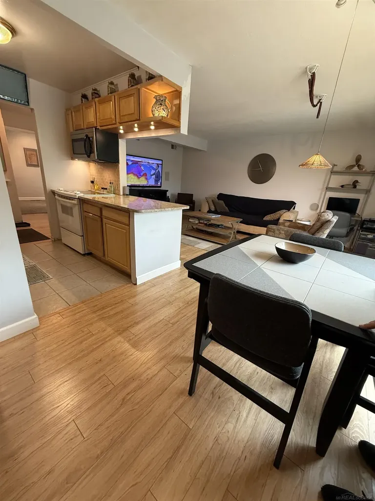 27 Dickinson Unit E Street Mt. Clemens City MI 48043