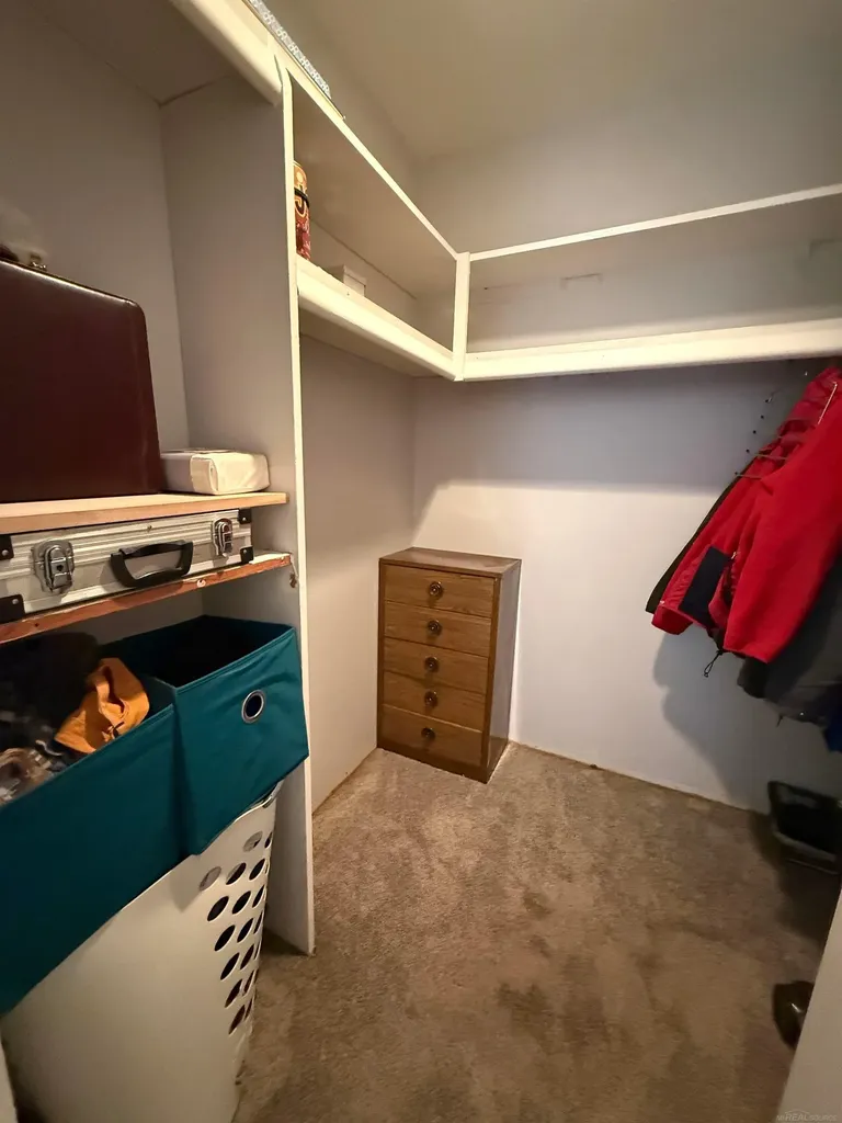 27 Dickinson Unit E Street Mt. Clemens City MI 48043