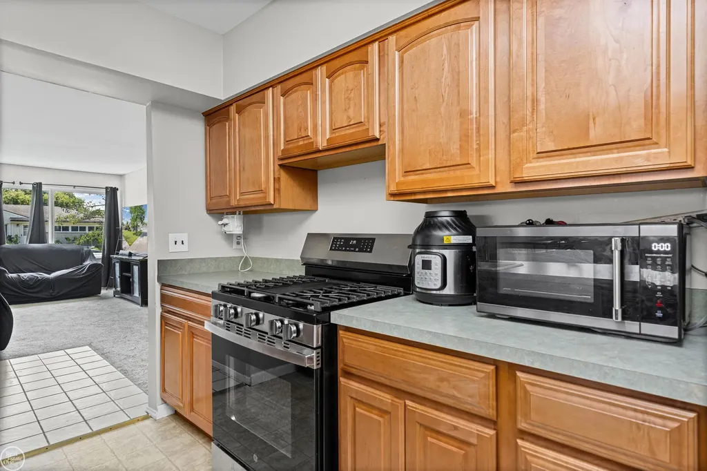 22405 E Schafer Street Clinton Charter Township MI 48035