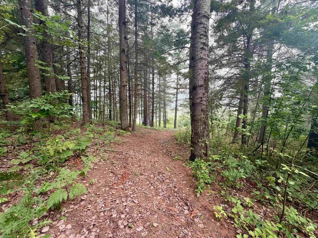 4837 Diehl Trail Logan Township MI 48739