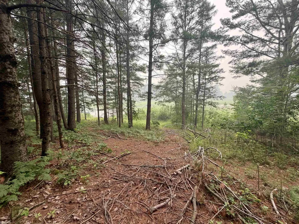 4837 Diehl Trail Logan Township MI 48739