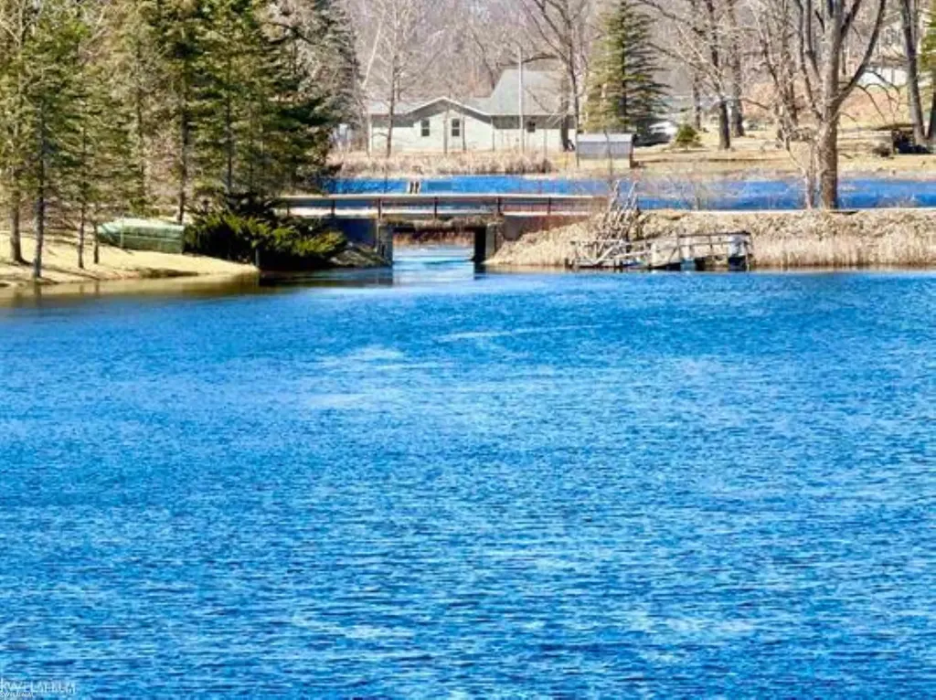 4837 Diehl Trail Logan Township MI 48739