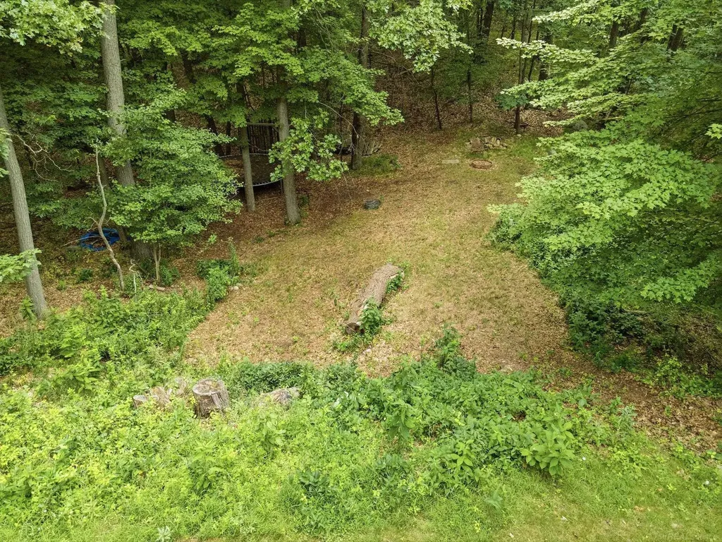 3867 Nutcracker Court Addison Township MI 48370