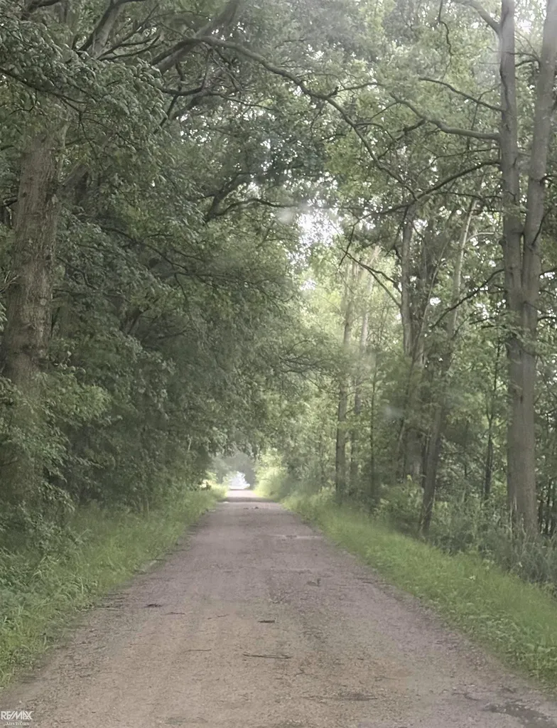 4345 Starville Road China Township MI 48054
