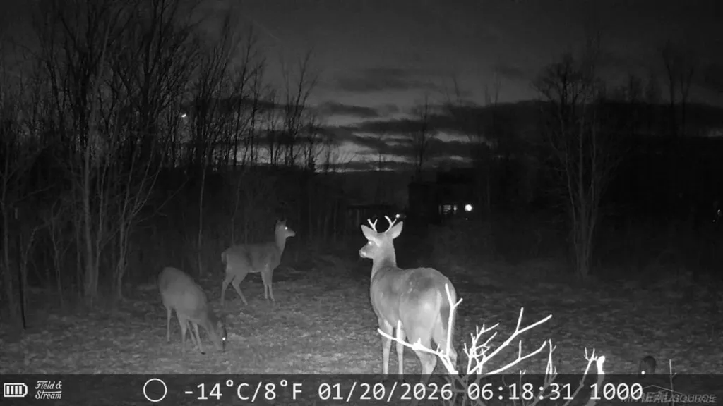 726 Brown City Road Imlay Township MI 48444