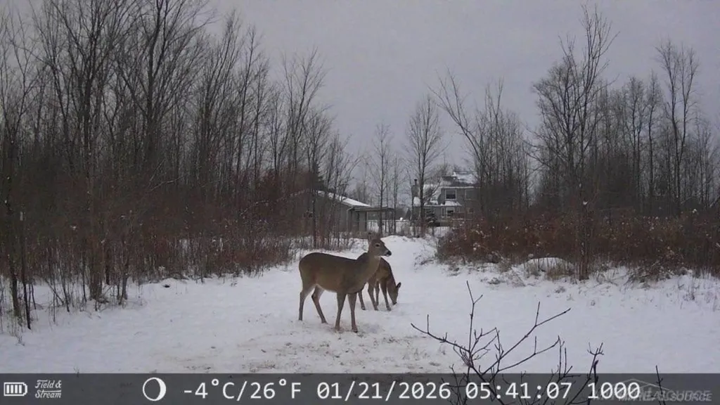 726 Brown City Road Imlay Township MI 48444