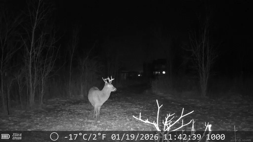726 Brown City Road Imlay Township MI 48444