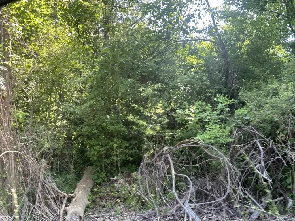 0 Bauman Road Columbus Township MI 48063