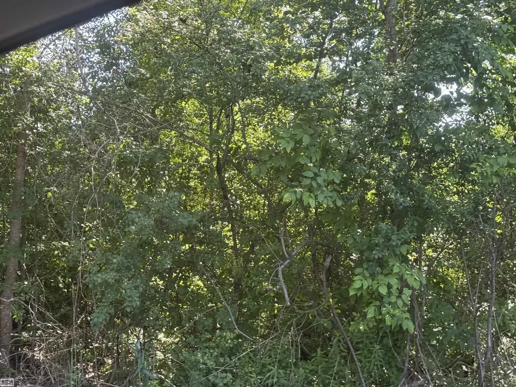 0 Bauman Road Columbus Township MI 48063