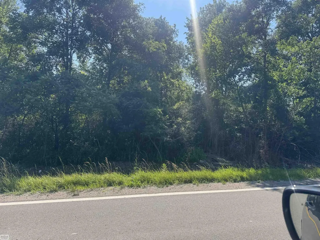 0 Bauman Road Columbus Township MI 48063
