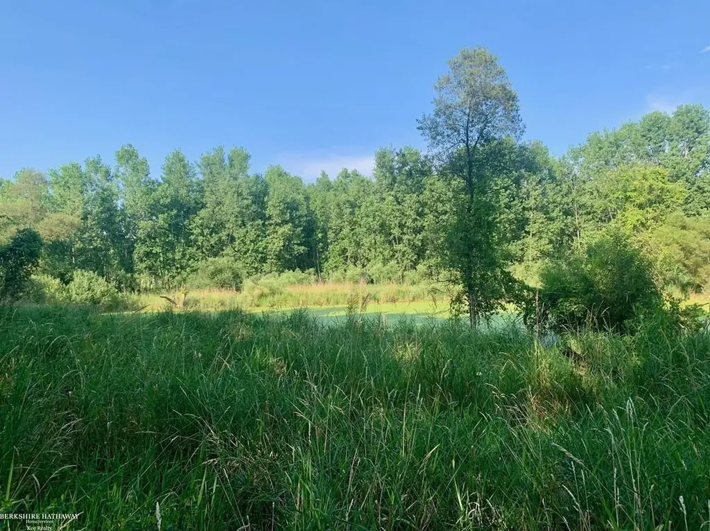 0 Hagerman Road Addison Township MI 48367