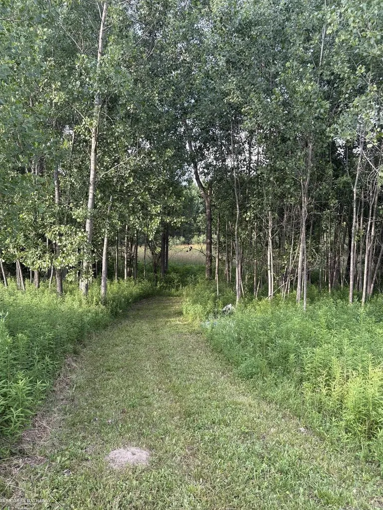 0 Hagerman Road Addison Township MI 48367