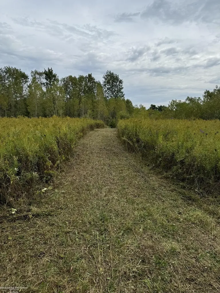 0 Hagerman Road Addison Township MI 48367