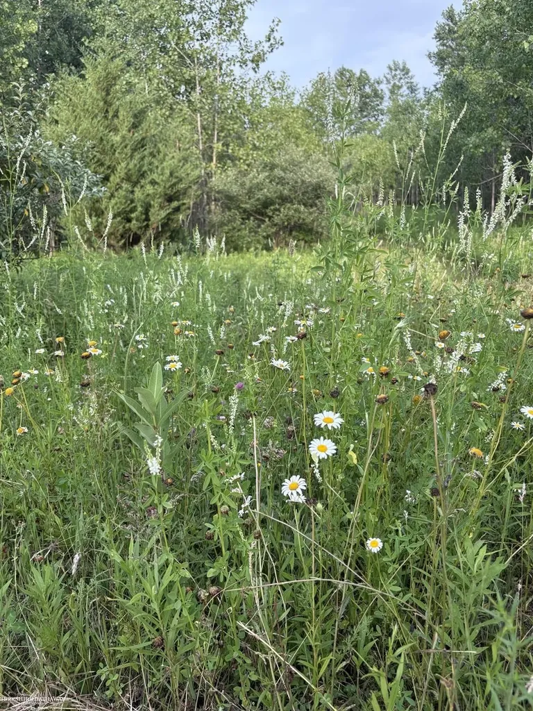 0 Hagerman Road Addison Township MI 48367