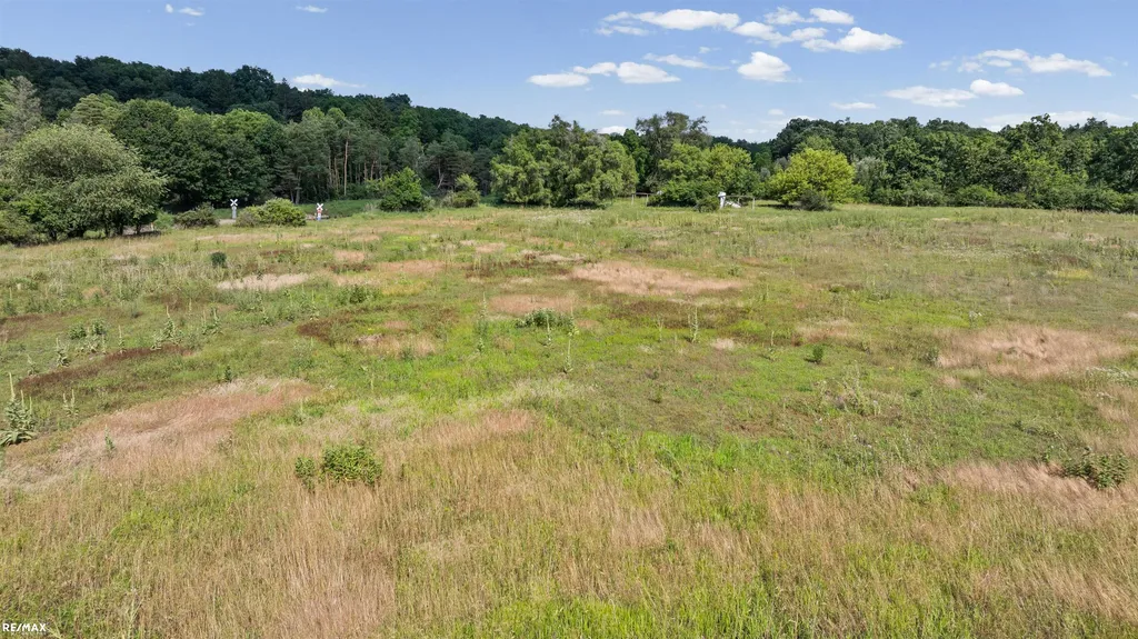 Huron River Drive Scio Township MI 48103