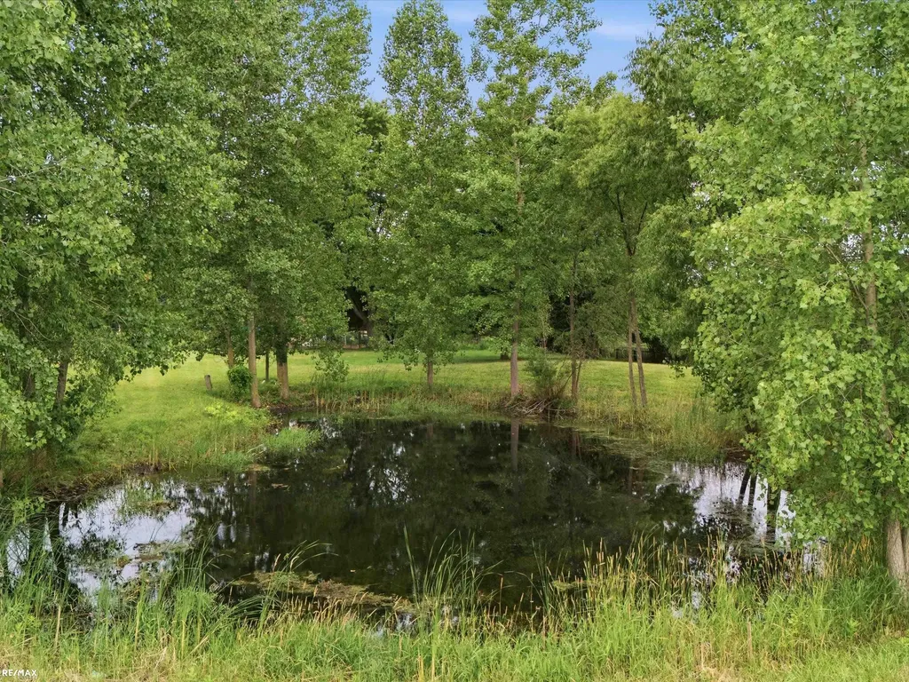 3111 Howland Road Almont Township MI 48003