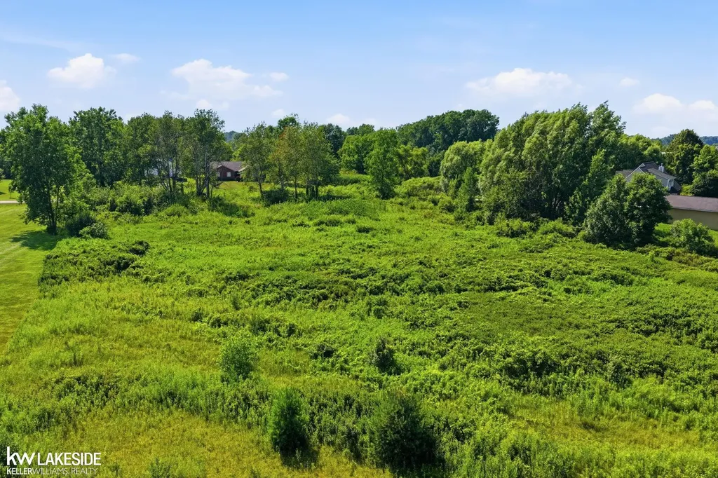 7150 Old Farm Trail Almont Township MI 48003