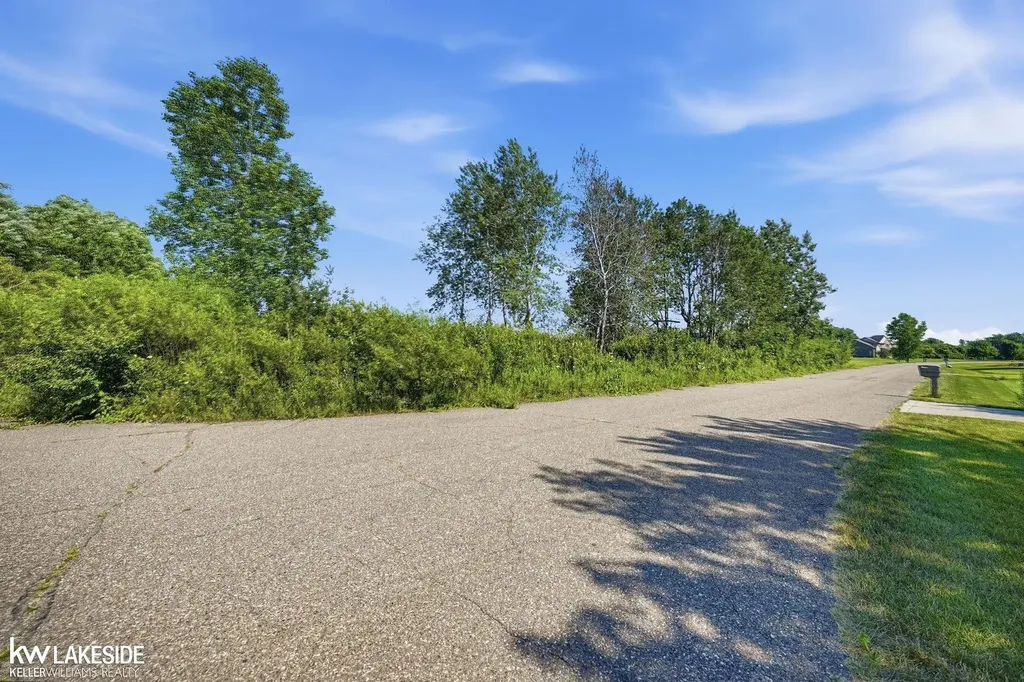 7150 Old Farm Trail Almont Township MI 48003