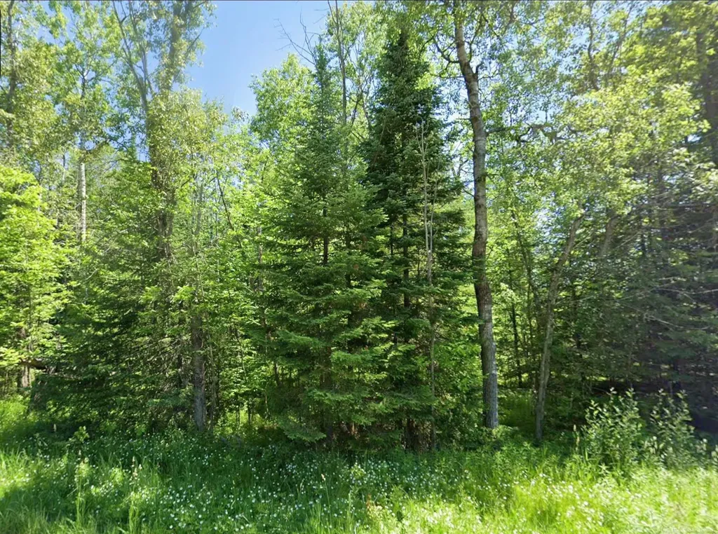 0 Sawyer Lane Rose Township MI 48654