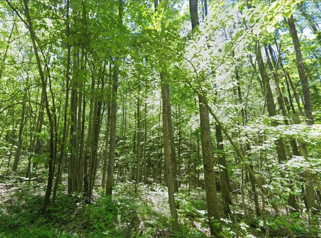 0 Sawyer Lane Rose Township MI 48654