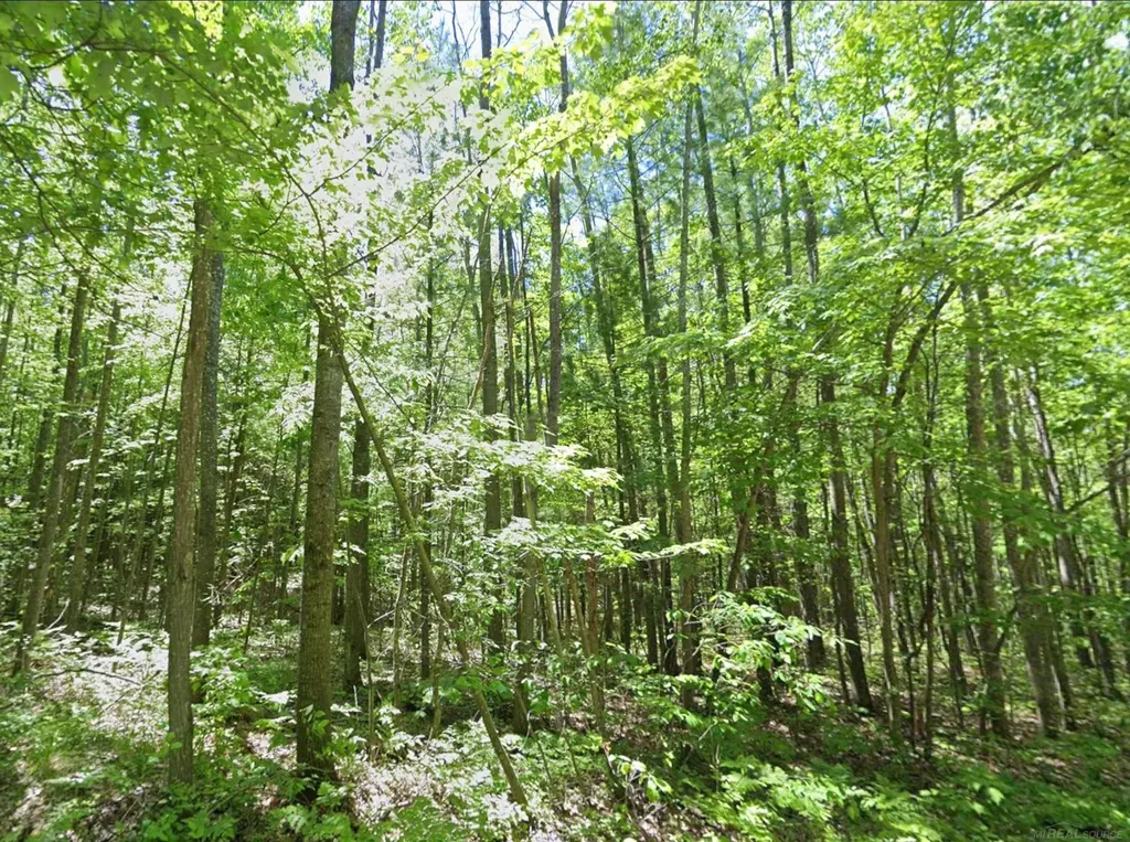 0 Sawyer Lane Rose Township MI 48654
