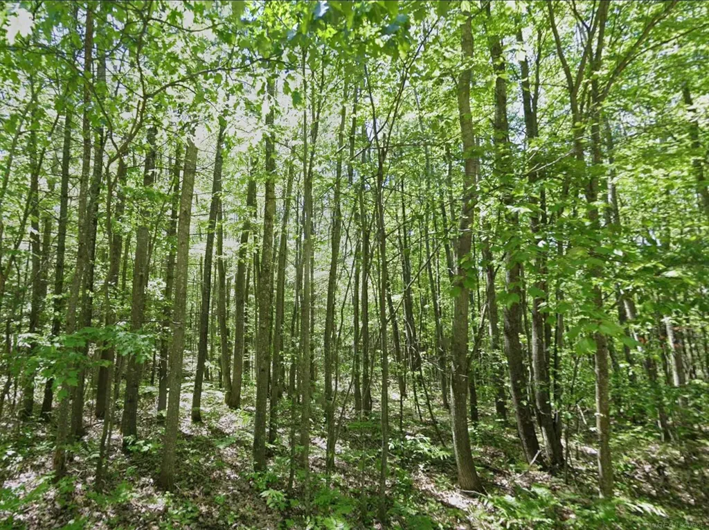 0 Sawyer Lane Rose Township MI 48654