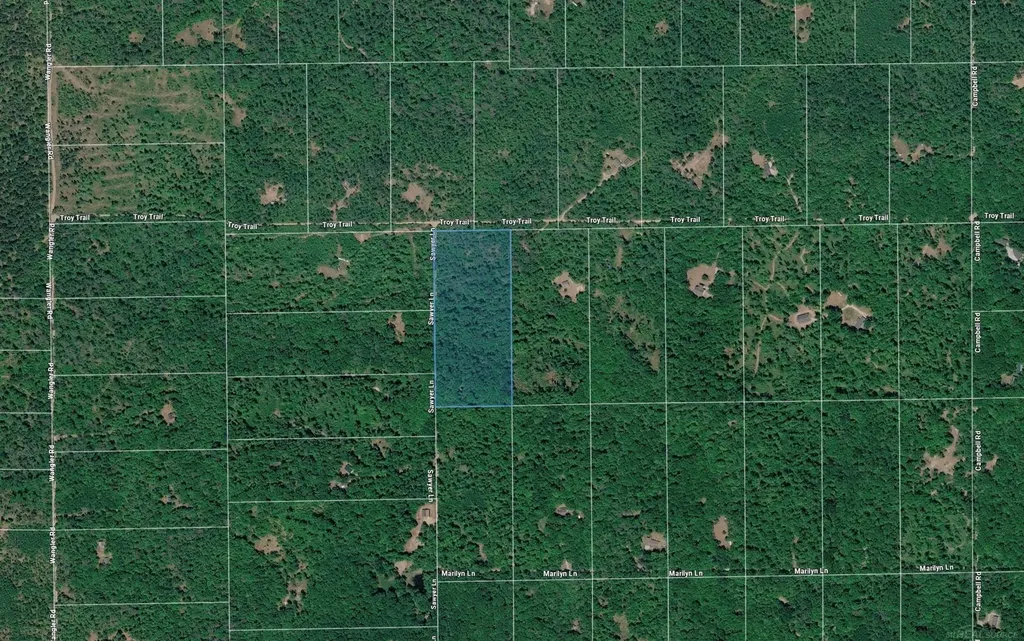 0 Sawyer Lane Rose Township MI 48654