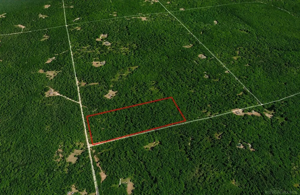 0 Sawyer Lane Rose Township MI 48654
