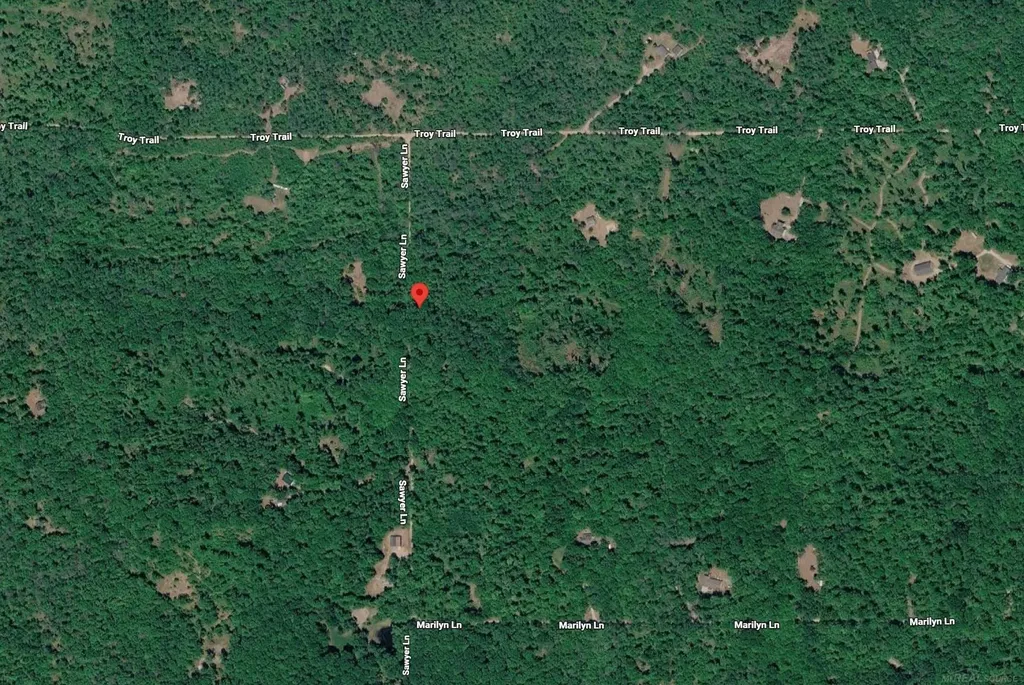 0 Sawyer Lane Rose Township MI 48654