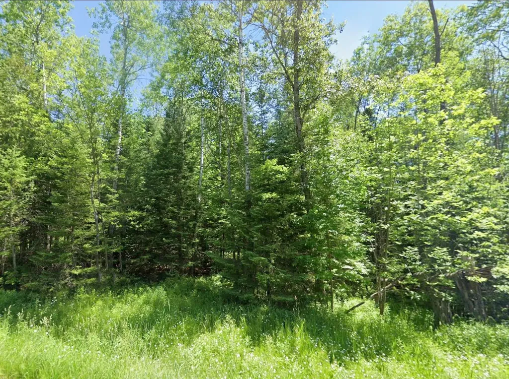 0 Sawyer Lane Rose Township MI 48654