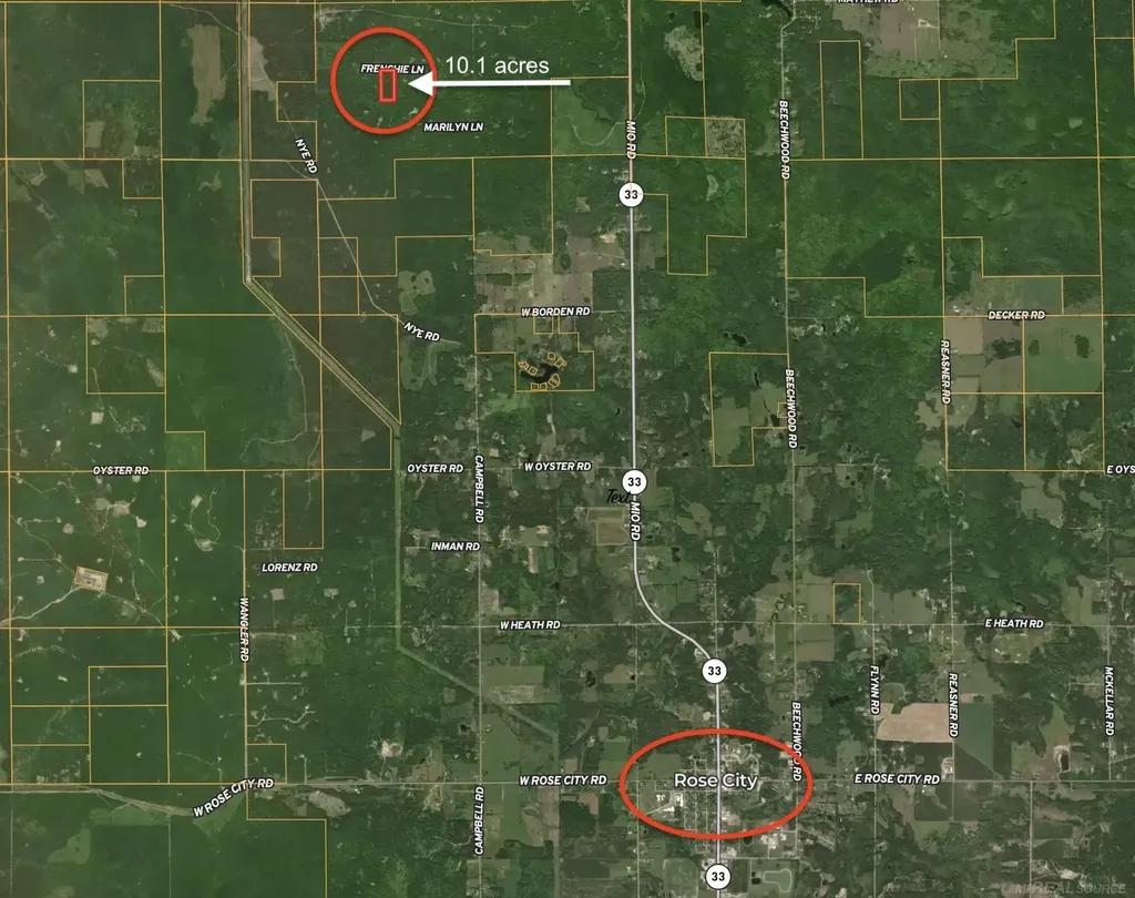 0 Sawyer Lane Rose Township MI 48654