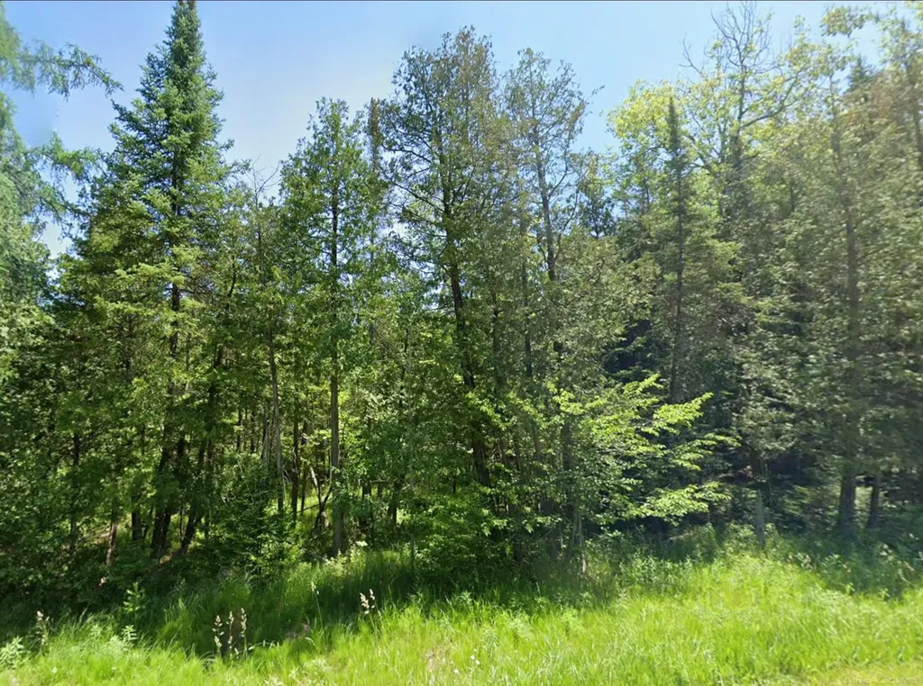 0 Sawyer Lane Rose Township MI 48654