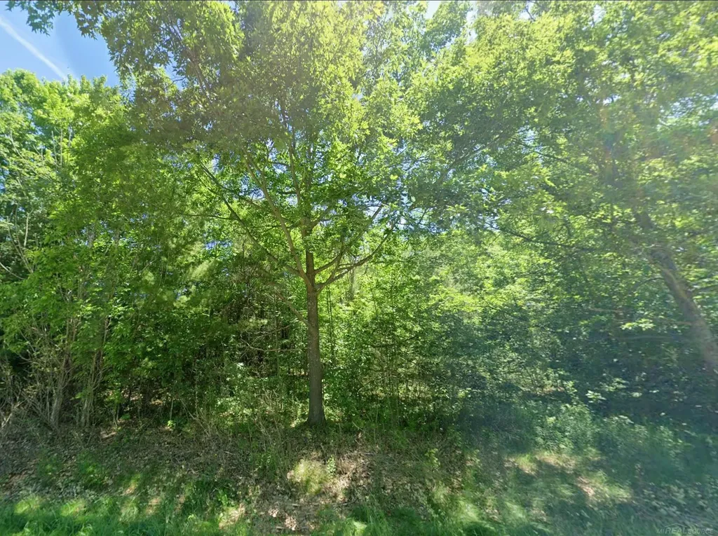 0 Sawyer Lane Rose Township MI 48654