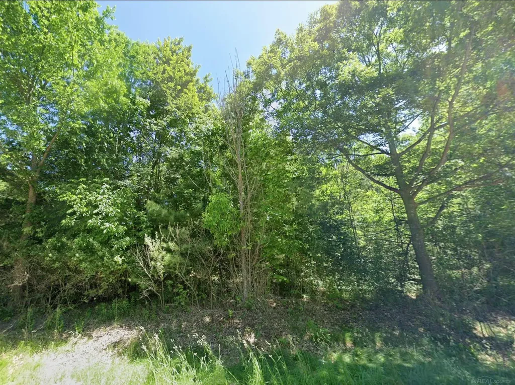 0 Sawyer Lane Rose Township MI 48654