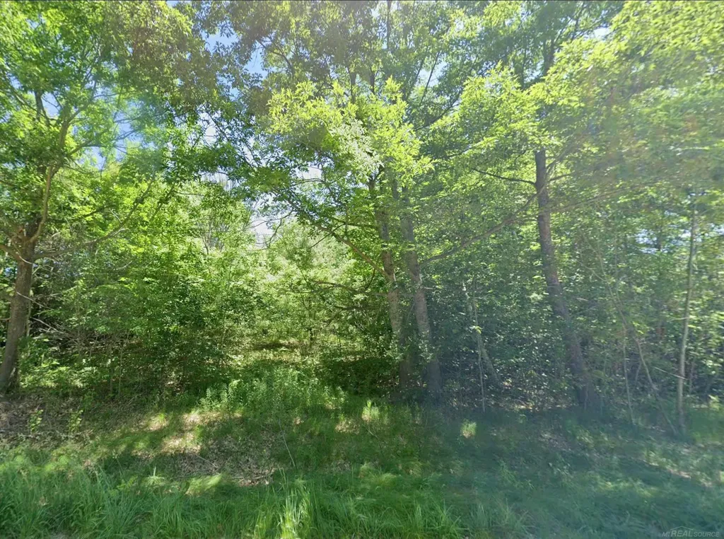 0 Sawyer Lane Rose Township MI 48654
