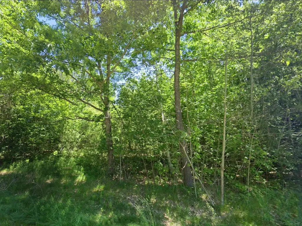 0 Sawyer Lane Rose Township MI 48654